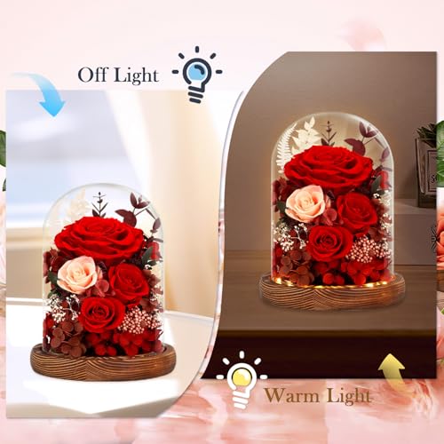 Forever Preserved Real Roses in Glass Dome with LED Lights R15984