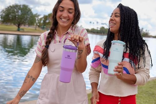 Stanley IceFlow Flip Straw Tumbler 30 oz Insulated Stainless Steel Lilac Z941193