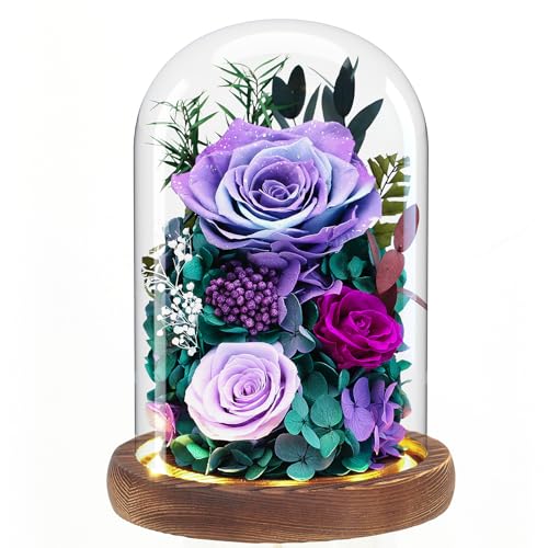 Forever Fresh Rose Flower Bouquet in Glass Dome, Preserved Purple Flowers J370