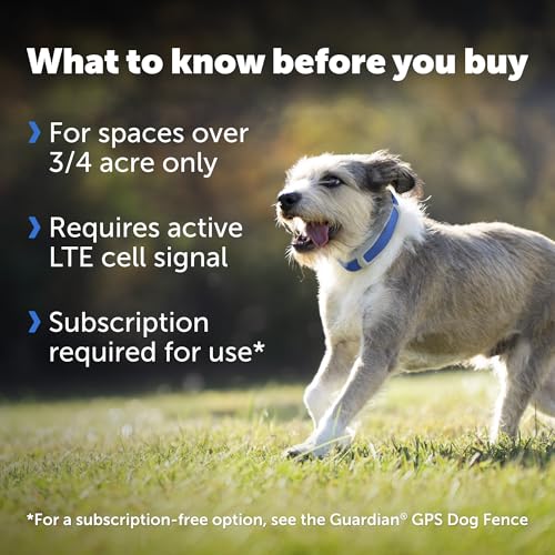 PetSafe Guardian GPS + Tracking Dog Fence Collar, Waterproof Rechargeable, Blue Grey I5356