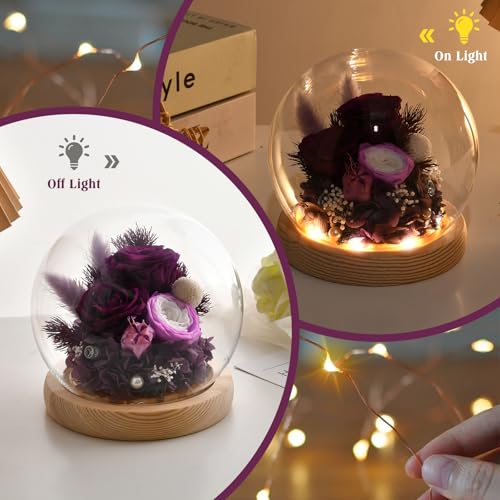 Preserved Real Rose in Glass Dome with LED Light for Women D176155