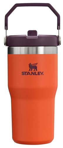 Stanley IceFlow Flip Straw Tumbler 30 oz Insulated Stainless Steel Lilac Z941193