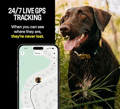 Fi Series 3 Smart Dog Collar GPS Tracker, Waterproof, Pink Medium Z35259