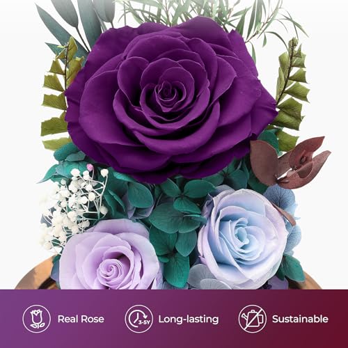 Forever Fresh Rose Flower Bouquet in Glass Dome, Preserved Purple Flowers J370