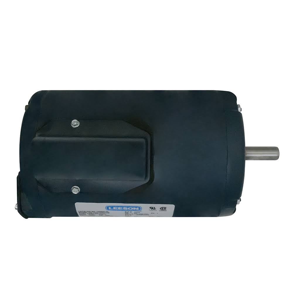 Leeson 1 HP Painted Boat Lift Motor 220V R232465