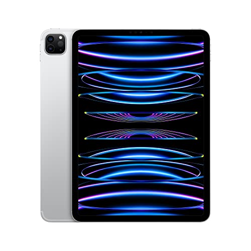Apple iPad Pro 11-inch Wi-Fi 128GB Space Gray (Renewed) X44566