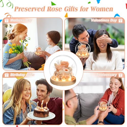 Preserved Real Rose in Glass Dome with LED Light for Women D176155