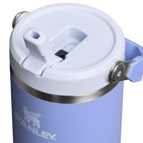 Stanley IceFlow Flip Straw Tumbler 30 oz Insulated Stainless Steel Lilac Z941193