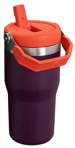 Stanley IceFlow Flip Straw Tumbler 30 oz Insulated Stainless Steel Lilac Z941193