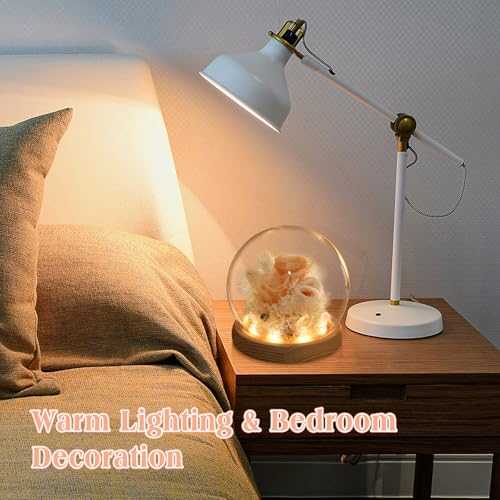 Preserved Real Rose in Glass Dome with LED Light for Women D176155