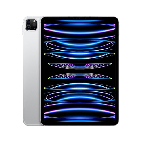 Apple iPad Pro 11-inch Wi-Fi 128GB Space Gray (Renewed) X44566