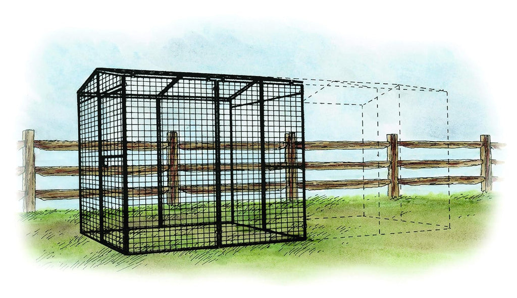 Black Metal Wire Chicken Run 16 ft. Y40849