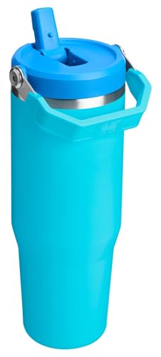 Stanley IceFlow Flip Straw Tumbler 30 oz Insulated Stainless Steel Lilac Z941193