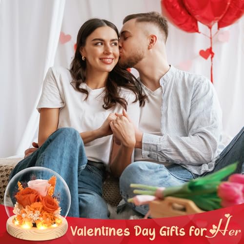 Preserved Real Rose in Glass Dome with LED Light for Women D176155