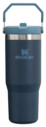 Stanley IceFlow Flip Straw Tumbler 30 oz Insulated Stainless Steel Lilac Z941193
