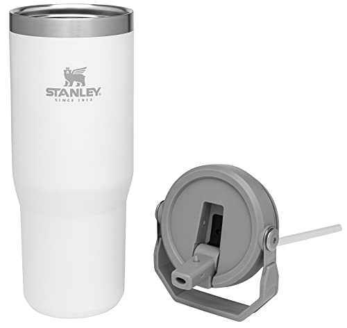 Stanley IceFlow Flip Straw Tumbler 30 oz Insulated Stainless Steel Lilac Z941193