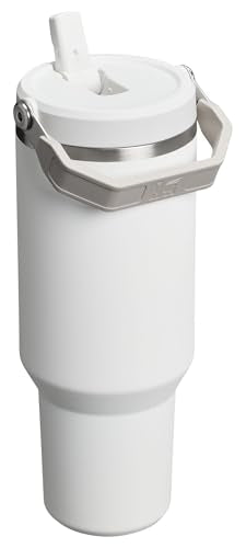 Stanley IceFlow Flip Straw Tumbler 30 oz Insulated Stainless Steel Lilac Z941193