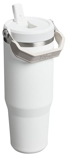 Stanley IceFlow Flip Straw Tumbler 30 oz Insulated Stainless Steel Lilac Z941193