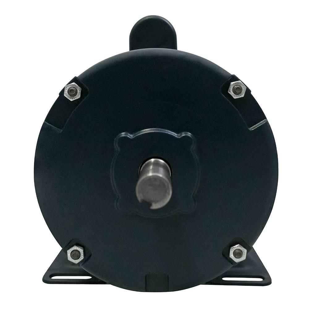 Leeson 1 HP Painted Boat Lift Motor 220V R232465