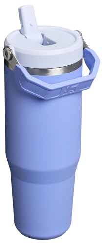 Stanley IceFlow Flip Straw Tumbler 30 oz Insulated Stainless Steel Lilac Z941193