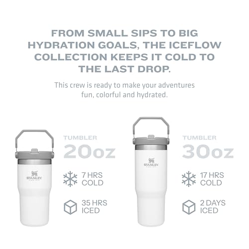 Stanley IceFlow Flip Straw Tumbler 30 oz Insulated Stainless Steel Lilac Z941193