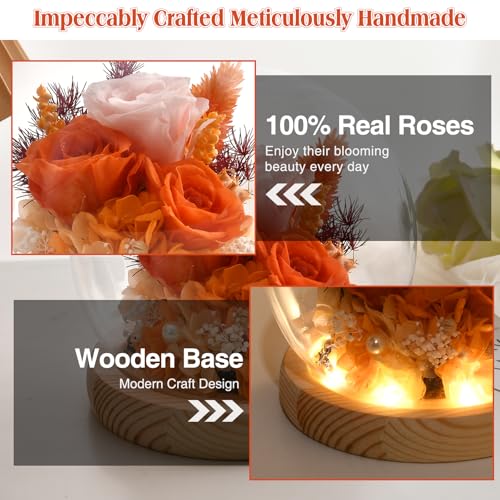 Preserved Real Rose in Glass Dome with LED Light for Women D176155