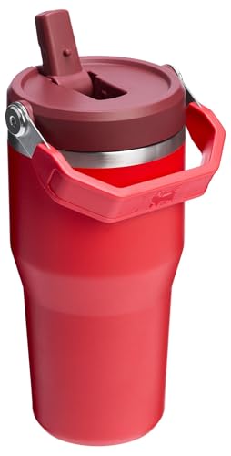 Stanley IceFlow Flip Straw Tumbler 30 oz Insulated Stainless Steel Lilac Z941193