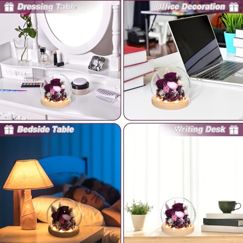 Preserved Real Rose in Glass Dome with LED Light for Women D176155