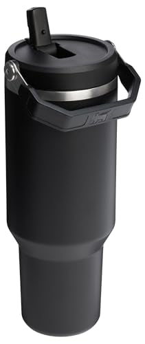 Stanley IceFlow Flip Straw Tumbler 30 oz Insulated Stainless Steel Lilac Z941193