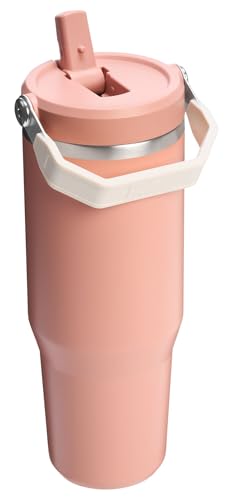 Stanley IceFlow Flip Straw Tumbler 30 oz Insulated Stainless Steel Lilac Z941193