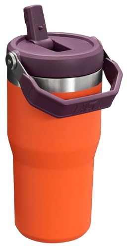 Stanley IceFlow Flip Straw Tumbler 30 oz Insulated Stainless Steel Lilac Z941193
