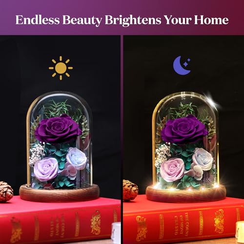 Forever Fresh Rose Flower Bouquet in Glass Dome, Preserved Purple Flowers J370