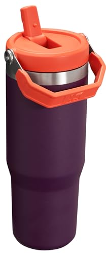 Stanley IceFlow Flip Straw Tumbler 30 oz Insulated Stainless Steel Lilac Z941193
