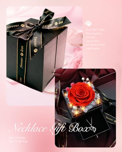 Preserved Real Rose Heart Necklace for Mom Women N8481