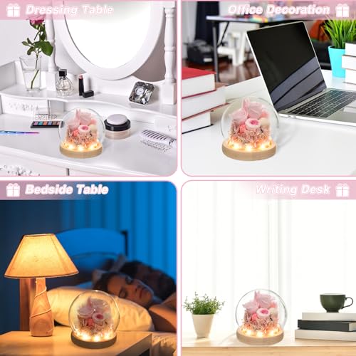 Preserved Real Rose in Glass Dome with LED Light for Women D176155