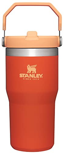 Stanley IceFlow Flip Straw Tumbler 30 oz Insulated Stainless Steel Lilac Z941193