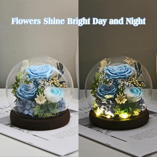 Rose in Glass Dome with LED Light - Gifts for Women Mom Grandma L94341