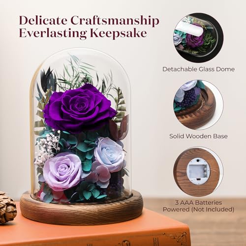 Forever Fresh Rose Flower Bouquet in Glass Dome, Preserved Purple Flowers J370