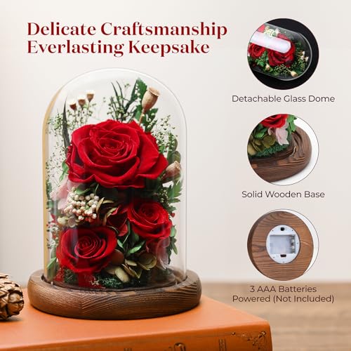 Forever Fresh Rose Flower Bouquet in Glass Dome, Preserved Purple Flowers J370