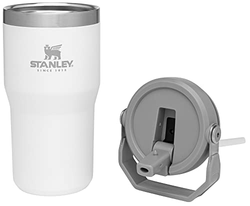 Stanley IceFlow Flip Straw Tumbler 30 oz Insulated Stainless Steel Lilac Z941193