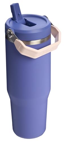 Stanley IceFlow Flip Straw Tumbler 30 oz Insulated Stainless Steel Lilac Z941193