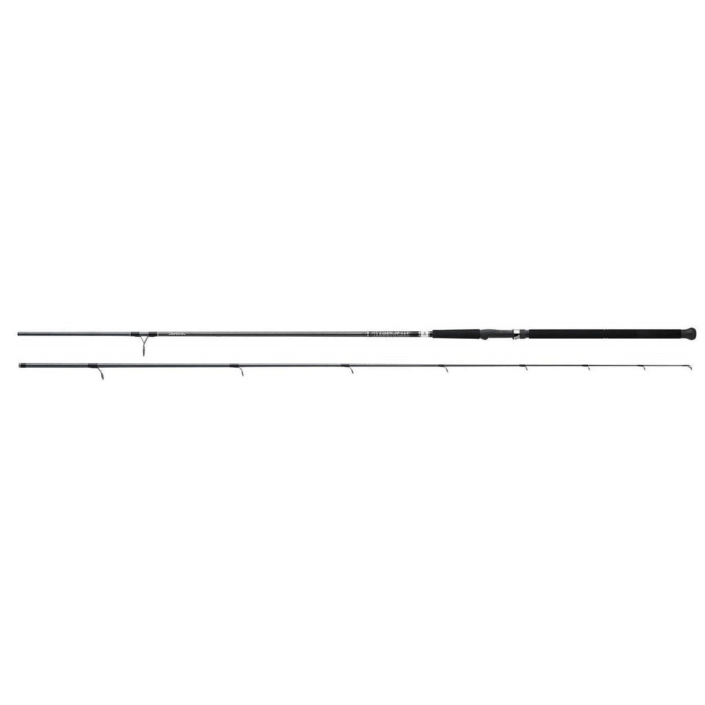 Daiwa Emcast Surf Rod ECA1002MHFS