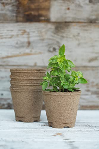 Organic Indoor Herb Garden Starter Kit - Made in USA P11768