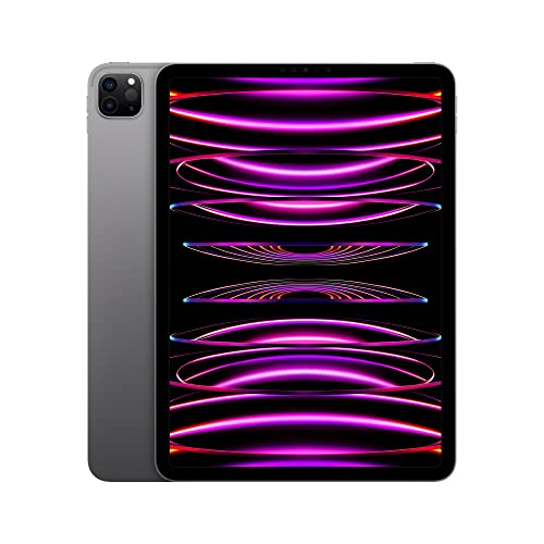 Apple iPad Pro 11-inch Wi-Fi 128GB Space Gray (Renewed) X44566