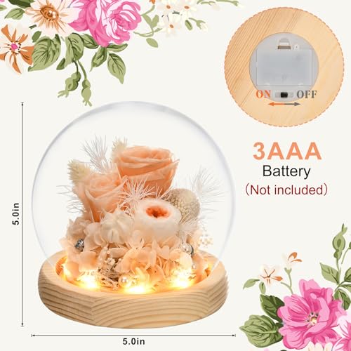 Preserved Real Rose in Glass Dome with LED Light for Women D176155