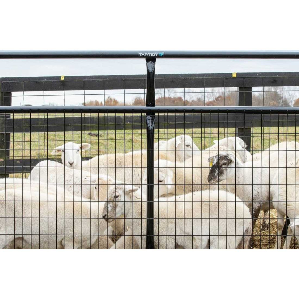 Tarter 10 ft. 2 x 4 Wire Filled Gate M7573