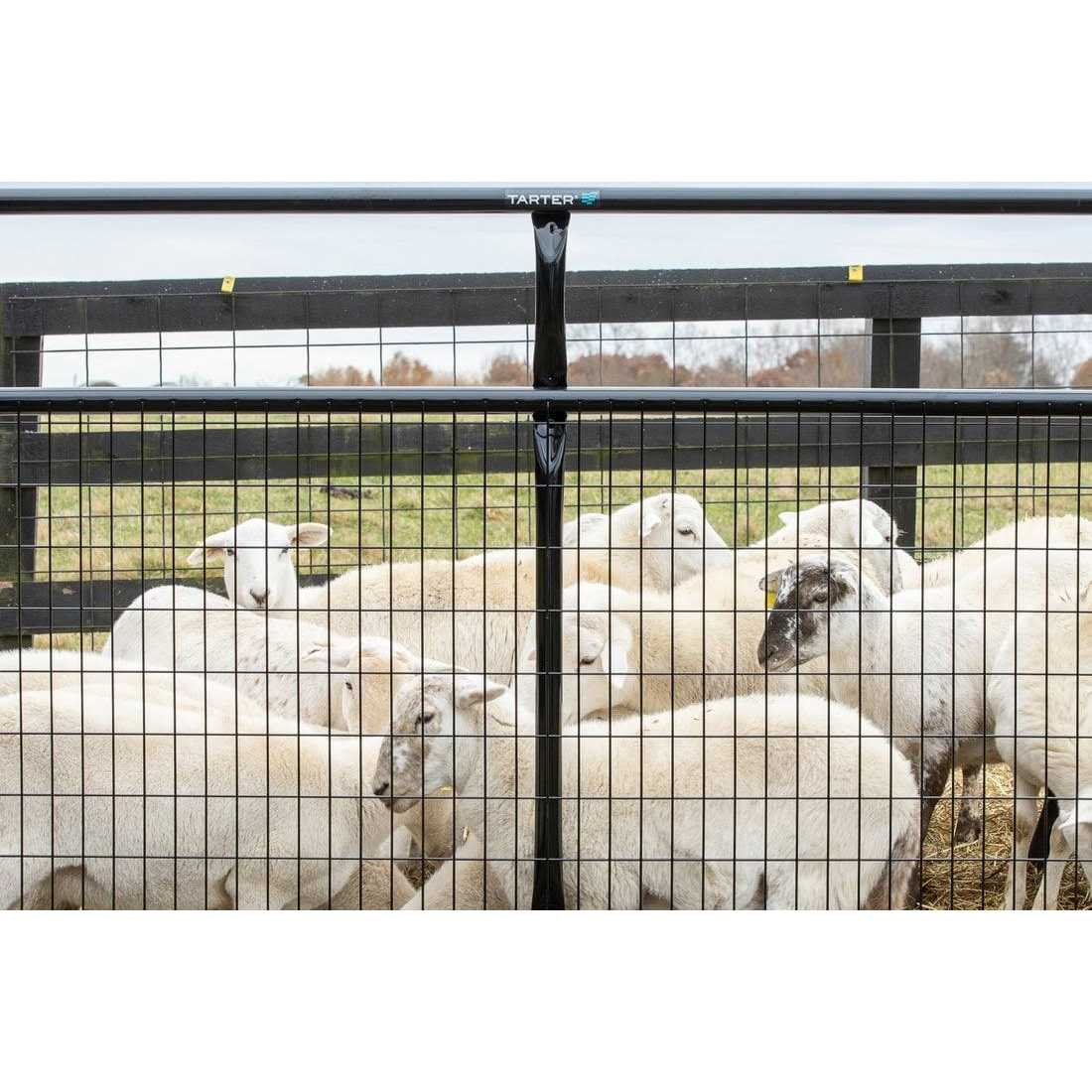 Tarter 10 ft. 2 x 4 Wire Filled Gate M7573