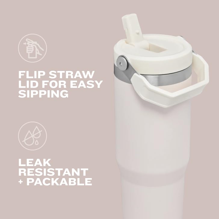 Stanley IceFlow Flip Straw Tumbler 30 oz Insulated Stainless Steel Lilac Z941193