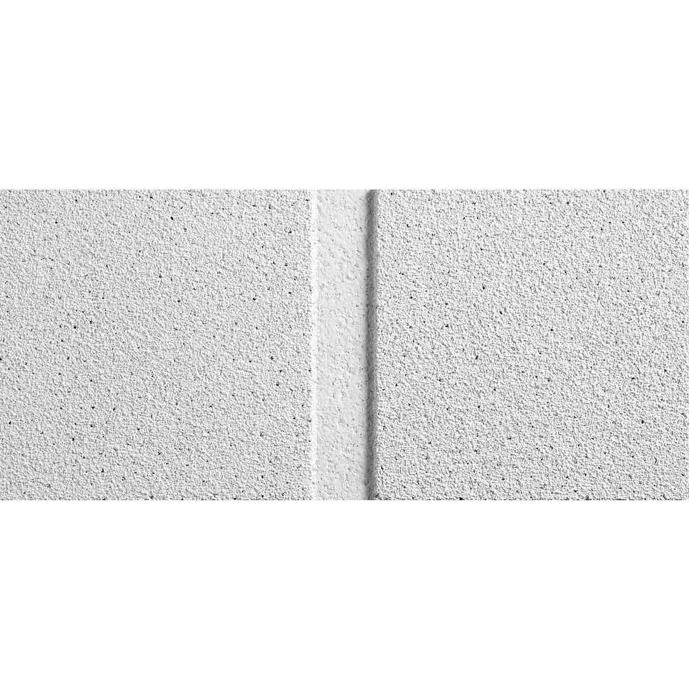 Armstrong Ceilings 2x4 ft Sahara White Mineral Fiber Drop Ceiling Tile C155