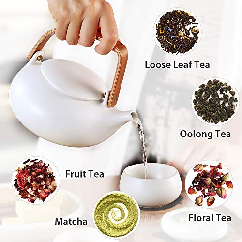 ZENS Modern Japanese Tea Set 27 oz Ceramic Teapot with 4 Cups F3504